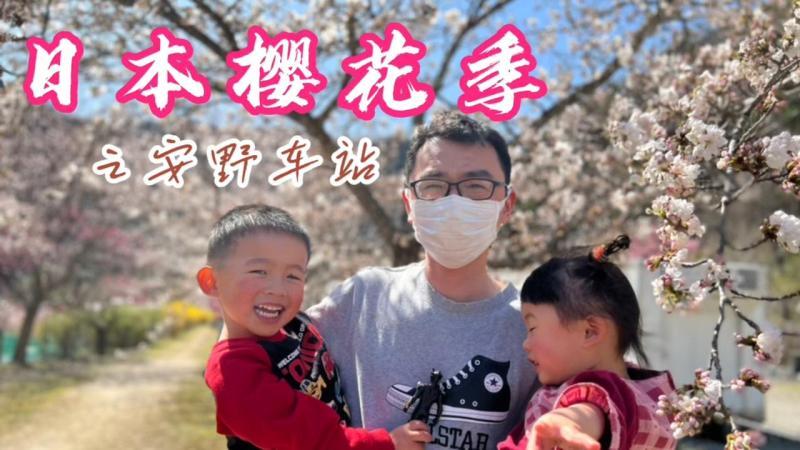 [图]广岛景点安野车站带大家欣赏樱花,看看日本人都是如何赏樱花的吧