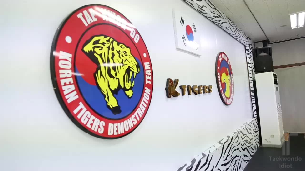 美国m-team到韩国虎队大本营交流训练跆拳道