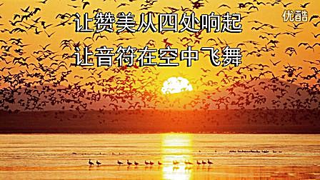 让赞美飞扬  精选 赞美诗第139首
