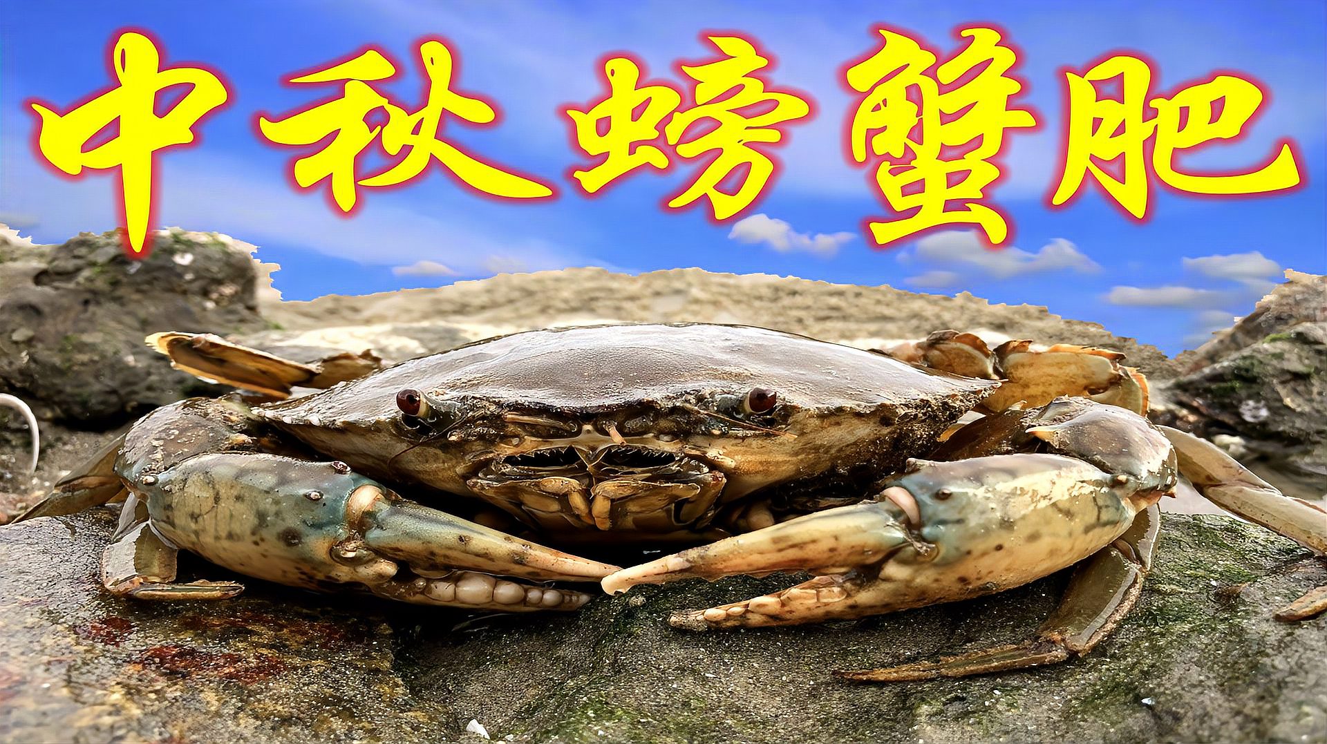 360影视 影视搜索 360影视 影视搜索