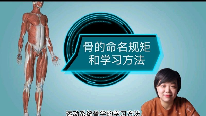 [图]人体解剖学运动系统骨学的学习方法,看看人体206块骨的命名规律