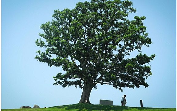 [图]【日剧•昼颜】Never Again