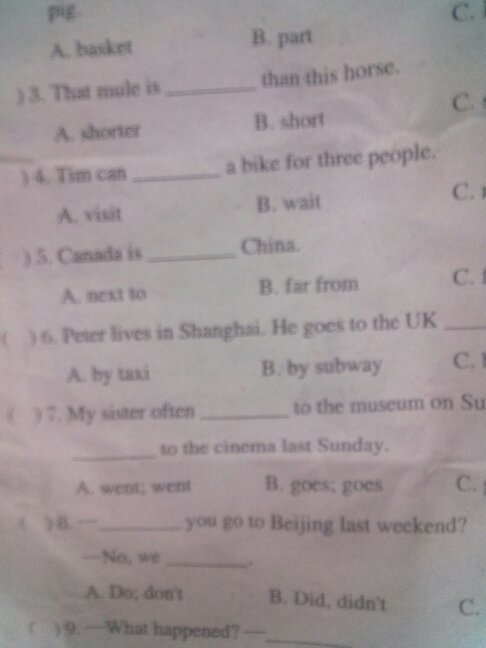 六年级英语报纸38答案