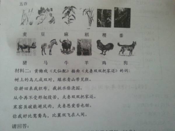 (1)根据材料概括古代中国农业经济结构的基本