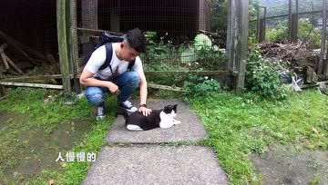 360影视 影视搜索