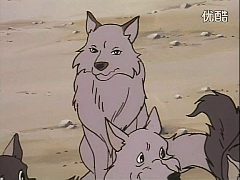 丛林里的故事 12.虎口脱险(台配国语)