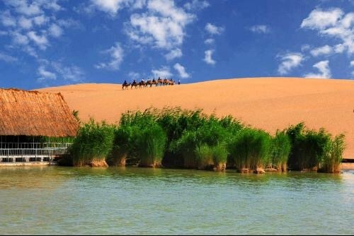 寧夏沙湖以江南水鄉與大漠風光為一體,以自然景觀為主體,沙,水,葦,鳥