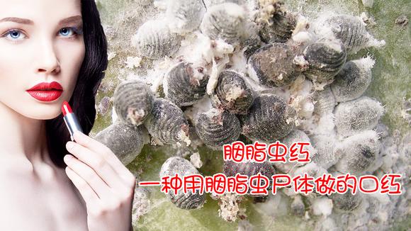 360影视 影视搜索 360影视 影视搜索