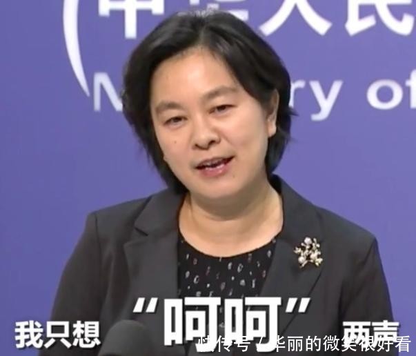 2019这一年真的太难了