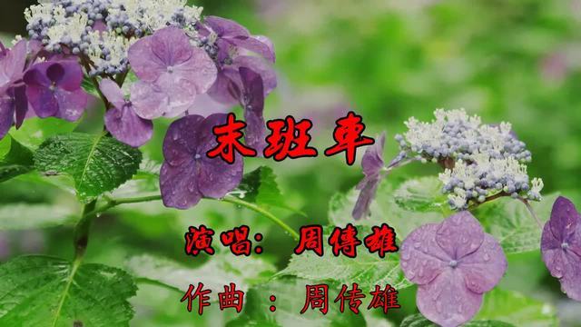歌曲推荐!一首经典《 末班车》更添几分伤感,不是一般的好听!