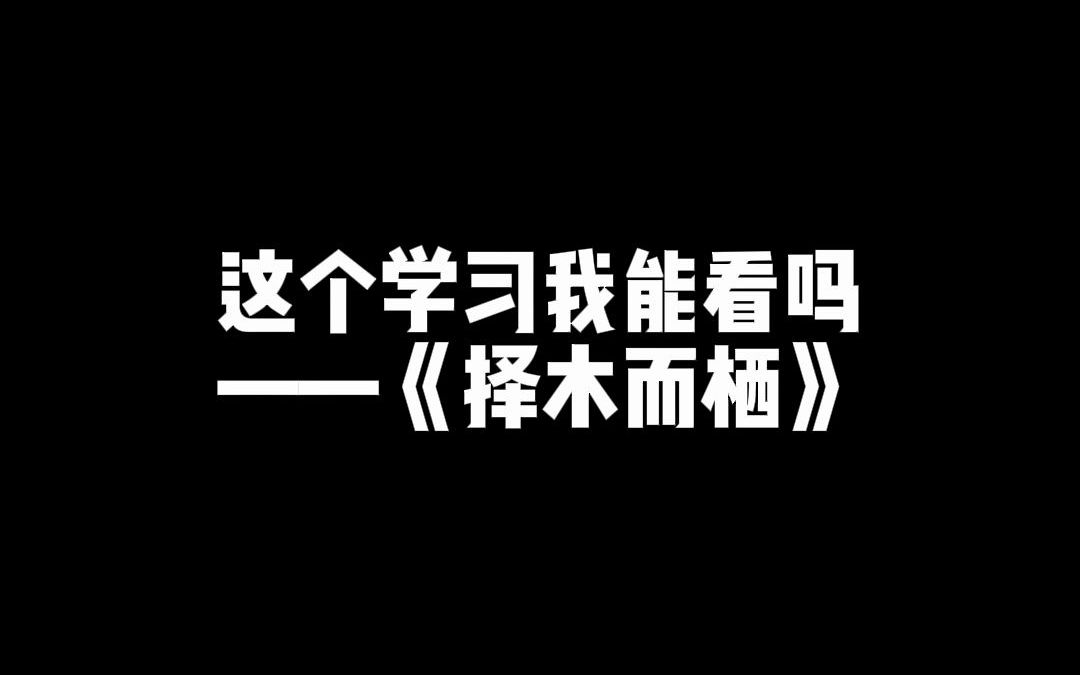 [图]【广播剧|择木而栖】你们学的什么是我不能看的