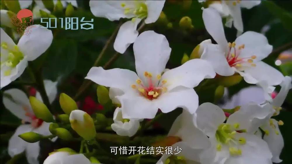 360影视 影视搜索 360影视 影视搜索