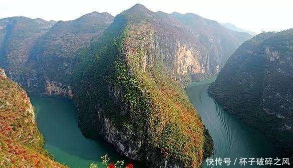 两岸猿声啼不住员是什么猿