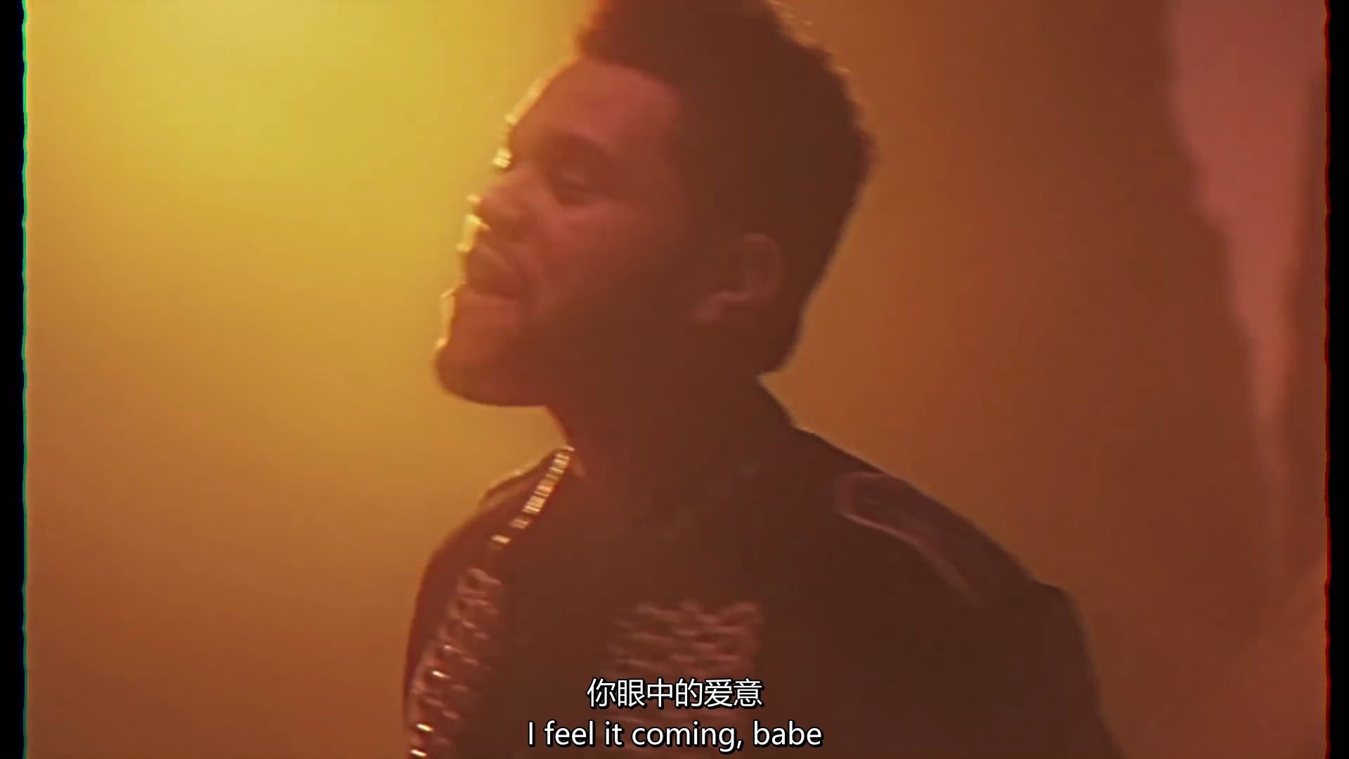 [图]『中英字幕』盆栽/草坪The Weeknd - I Feel It Coming ft. Daft Punk 1080p