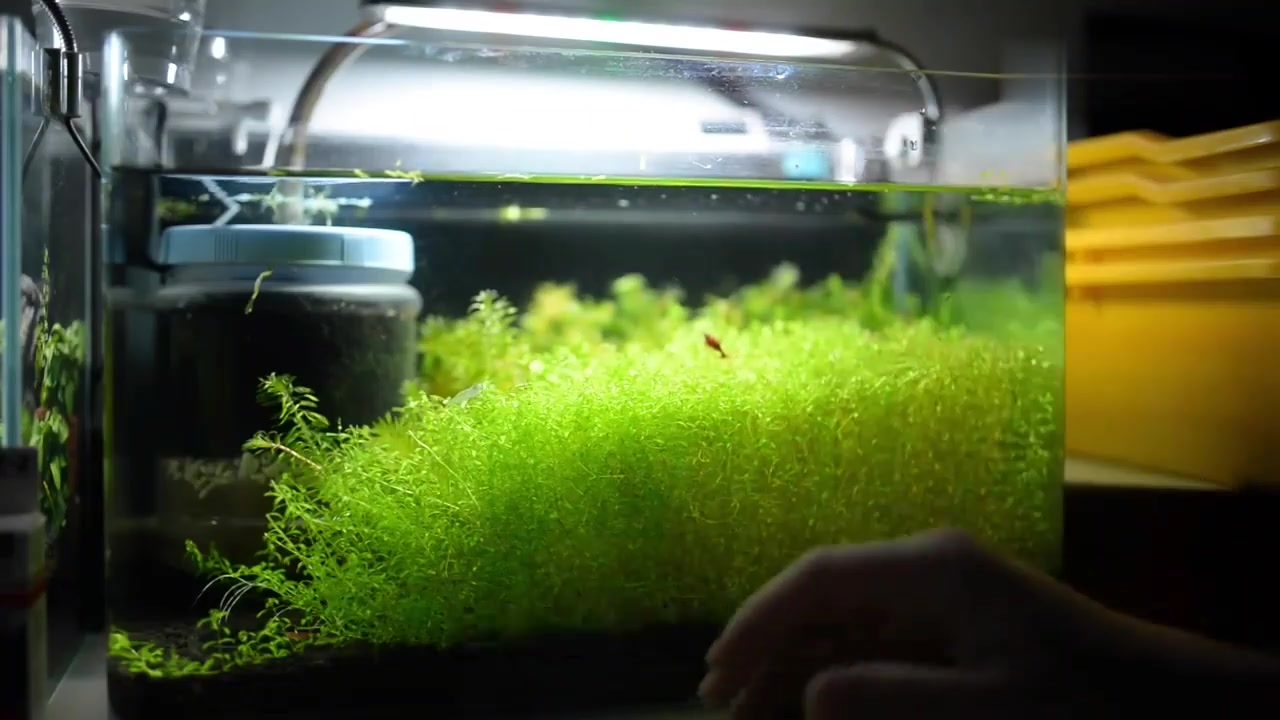 360影视 影视搜索