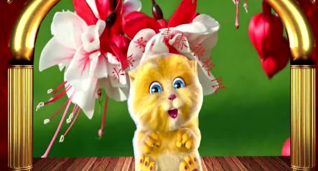 金猫侠说段子:初为人父,激动地说:来,叔叔抱一下笑死了