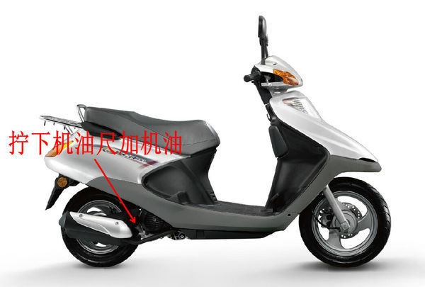 五羊本田wh100t-g如何加机油图片