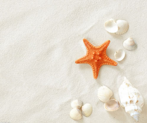 ps中磁性套索工具怎么用