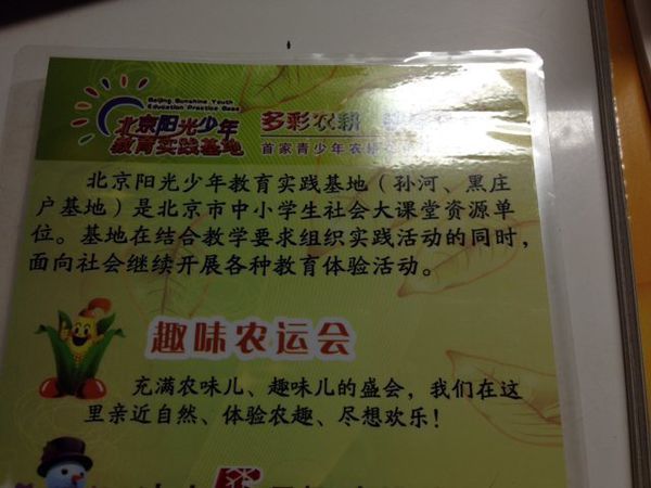 去北京阳光少年教育实践基地的作文怎么写?