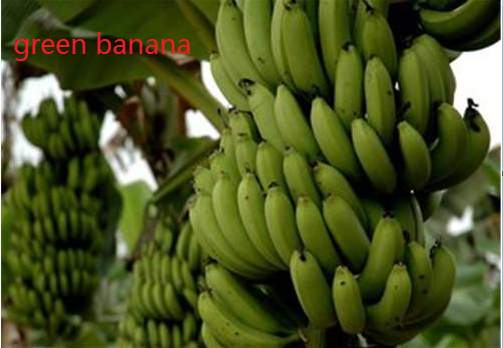 green banana 是什么意思