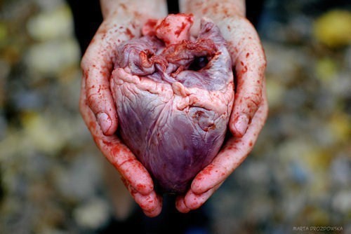 手握着心脏滴血 图片图片