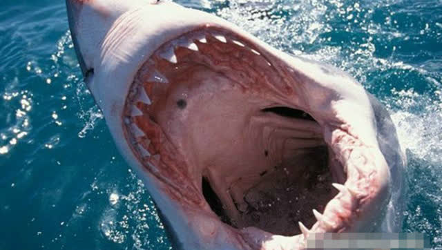 360影视-影视搜索