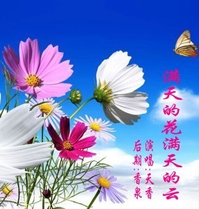 满天的花满天的云的歌词内容