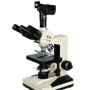 使用普通光学显微镜的具体步骤