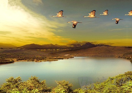 春雁王恭古诗带拼音版本