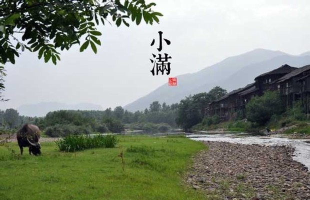 小满什么意思 小满的寓意和象征