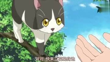 360影视 影视搜索 360影视 影视搜索