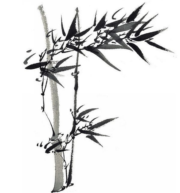 毛笔画竹子