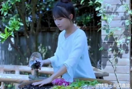 李子柒的生活环境