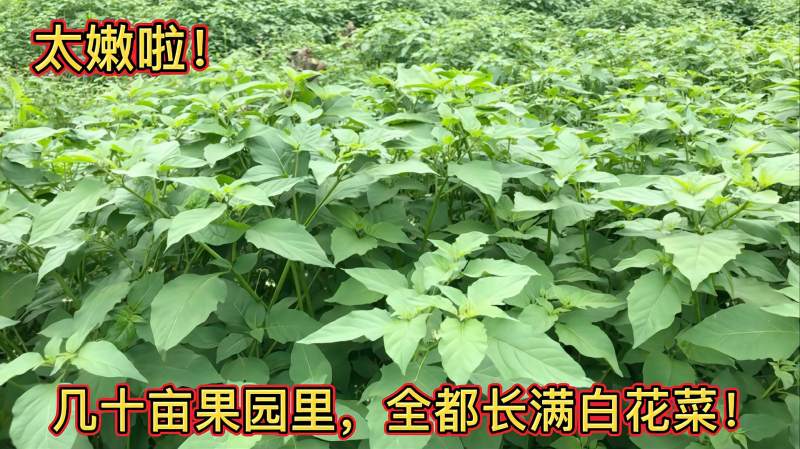 360影视 影视搜索 360影视 影视搜索