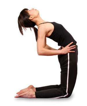 在瑜伽里面有一个动作是腿跪着,身体向后仰,双手撑着脚,那个叫什么?