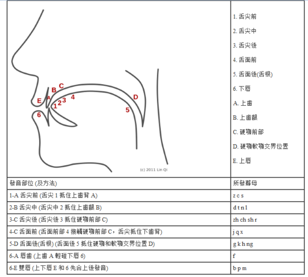 求普通话发音部位,方法的图或动画