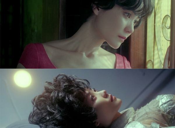 再后来,周慕云不再奢望从白玲身上找到苏丽珍的影子.