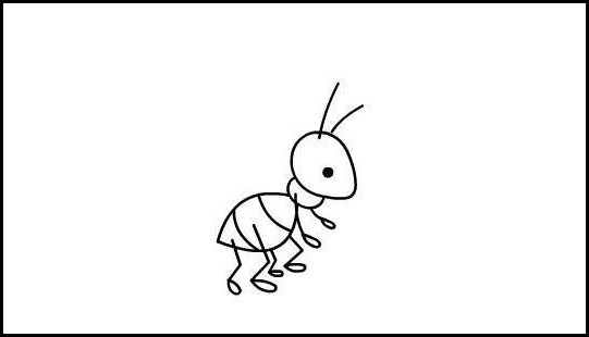 家里进飞蚂蚁是怎么回事?