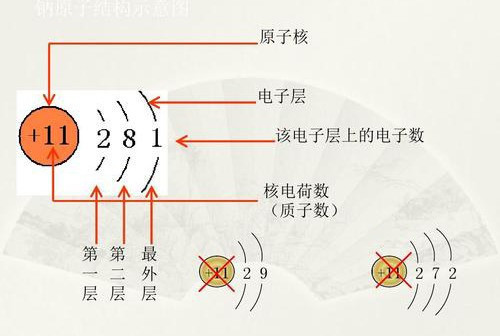 阳离子中:核外电子数=?阴离子中:核外电子数=?