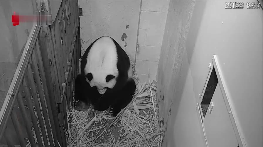 360影视 影视搜索