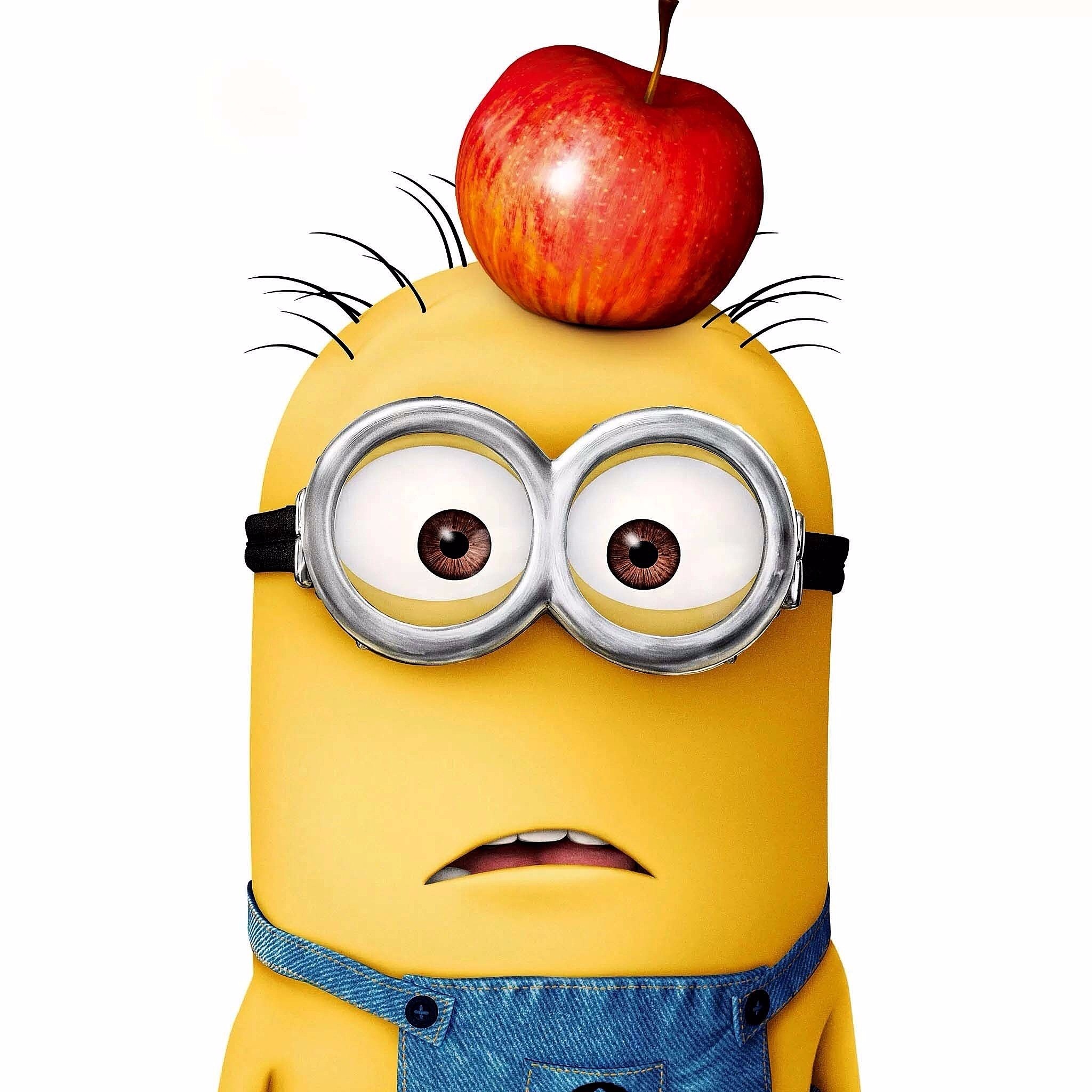 女友认定男友是精神病罪犯 但见到后发觉错了