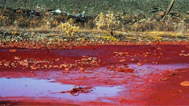 河水无故变红被称"地狱 血河" 调查原因揭晓