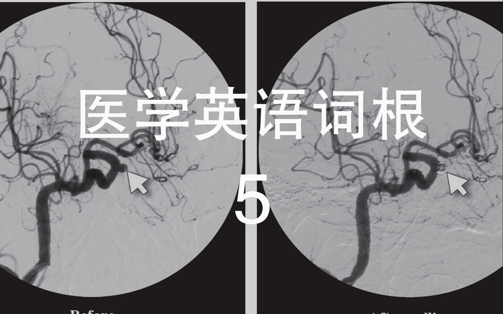 360影视 影视搜索