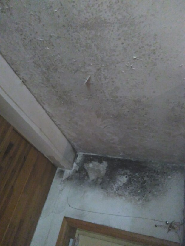 隔壁占了我家阁楼导致我家漏水