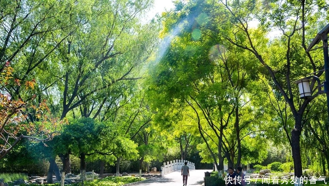 北京地铁七号线怎么了