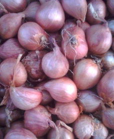 毛葱是不是蟹蒜?