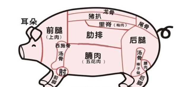 猪五花肉在哪个位置图片