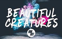 [图]【日推】【歌词版】Illenium - Beautiful Creatures Feat. MAX