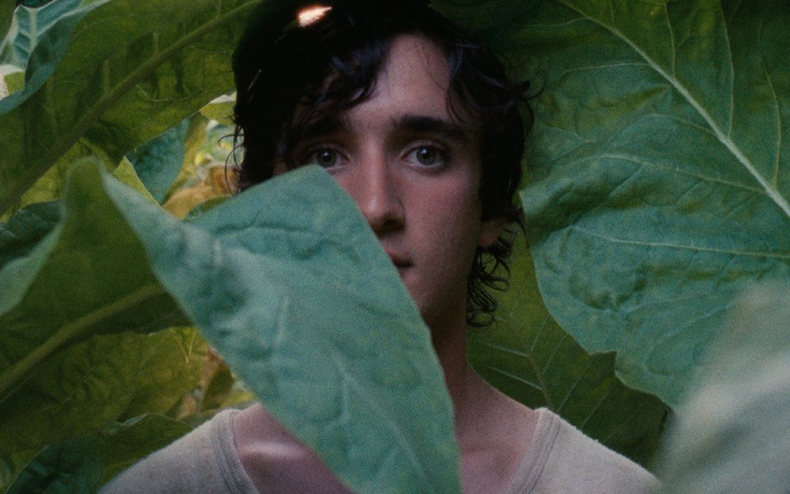 [图]幸福的拉扎罗 Lazzaro felice(2018)cut