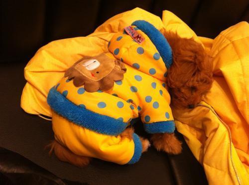 睡不醒的排杠方式,怎样分区,怎样卷杠